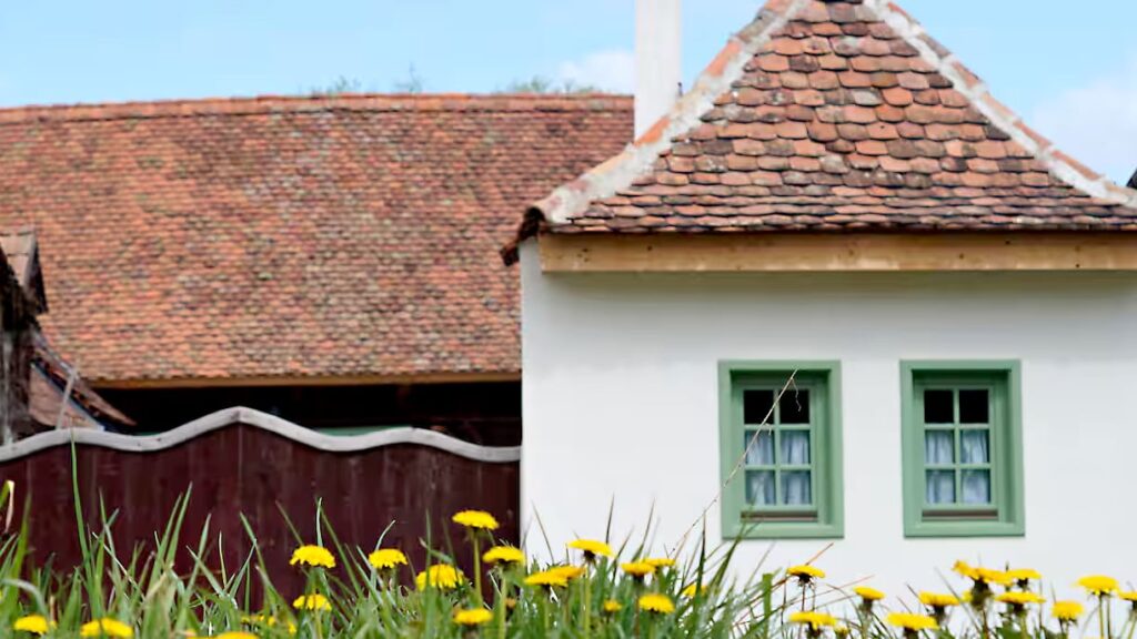 tiny house transylvania 1